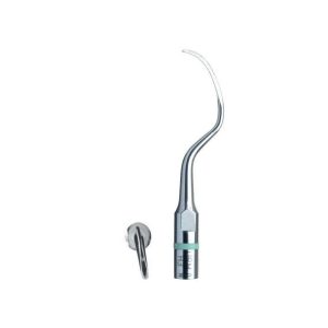 Ansă URM H3, Acteon, F00369