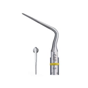 Ansă CAP3 F88183, Acteon