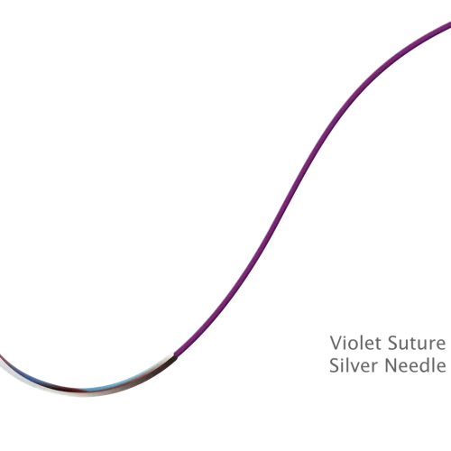 SilverViolet_2022-03-03-171423.webp SilverViolet_2022-03-03-171423.webp