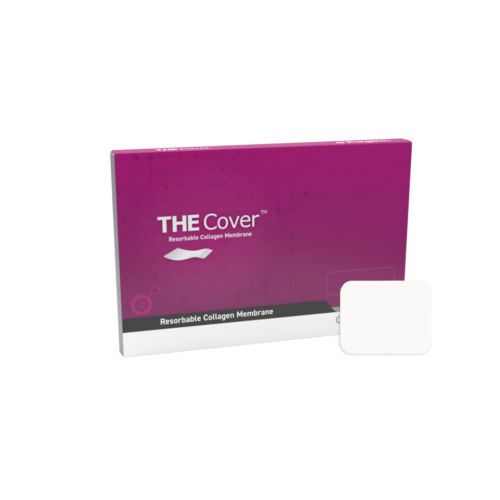 The Cover 2.webp The Cover 2.webp