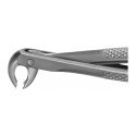 Clește Pediatric Pentru Extracție Molari Inferiori Nr. 161, 140 Mm, Aesculap, B. Braun, DK061R 1