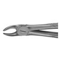 Clește Pediatric Pentru Extracție Molari Superiori Nr. 158, 145 Mm, Aesculap, B. Braun, DK012R 1