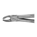Clește Pediatric Pentru Extracție Molari Superiori Nr. 39, Formă Lată, 145 Mm, Aesculap, B. Braun, DK011R 1
