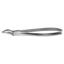 Clește Pentru Extracții, Anatomica Nr. 51A, 170 Mm, Aesculap, B. Braun, DG350R 1