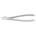 Clește Pentru Extracții, Feiner Anatomica, Parte Activă Extra Lungă, 175 Mm, Aesculap, B. Braun, DG365R 1