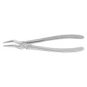 Clește Pentru Extracții, Feiner Anatomica, Parte Activă Extra Lungă, 175 Mm, Aesculap, B. Braun, DG365R 1
