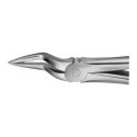 Clește Pentru Extracții, Feiner Anatomica, Parte Activă Extra Lungă, 175 Mm, Aesculap, B. Braun, DG365R 2