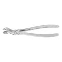 Clește Pentru Extracții, Felsch Anatomica Nr. 121, 170 Mm, Aesculap, B. Braun, DG270R 1