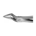 Clește Pentru Extracții, Kaiser Anatomica, 175 Mm, Aesculap, B. Braun, DG340R 2