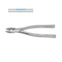 Clește Pentru Extracții Incisivi și Canini Superiori, Osung Premium Nr. 1, 150 Mm, Osung, FX1 1