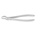 Clește Pentru Extracții Rădăcini, Anatomica Nr. 51, 170 Mm, Aesculap, B. Braun, DG351R 1