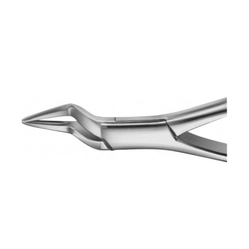 Detaliu 2 Cleste Radacini Model America DI320R Detaliu 2 Cleste Radacini Model America DI320R