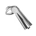 Detaliu Cleste Extractie Copii DK052R Aesculap B Braun
